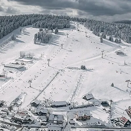 Apartament Za Muzeum Papiernictwa Duszniki Zdrój